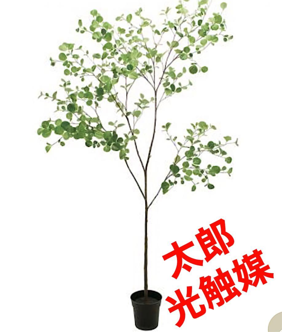 光触媒　人工観葉植物　ウォールグリーン　フェイクグリーン　ヘーゼルナッツ180