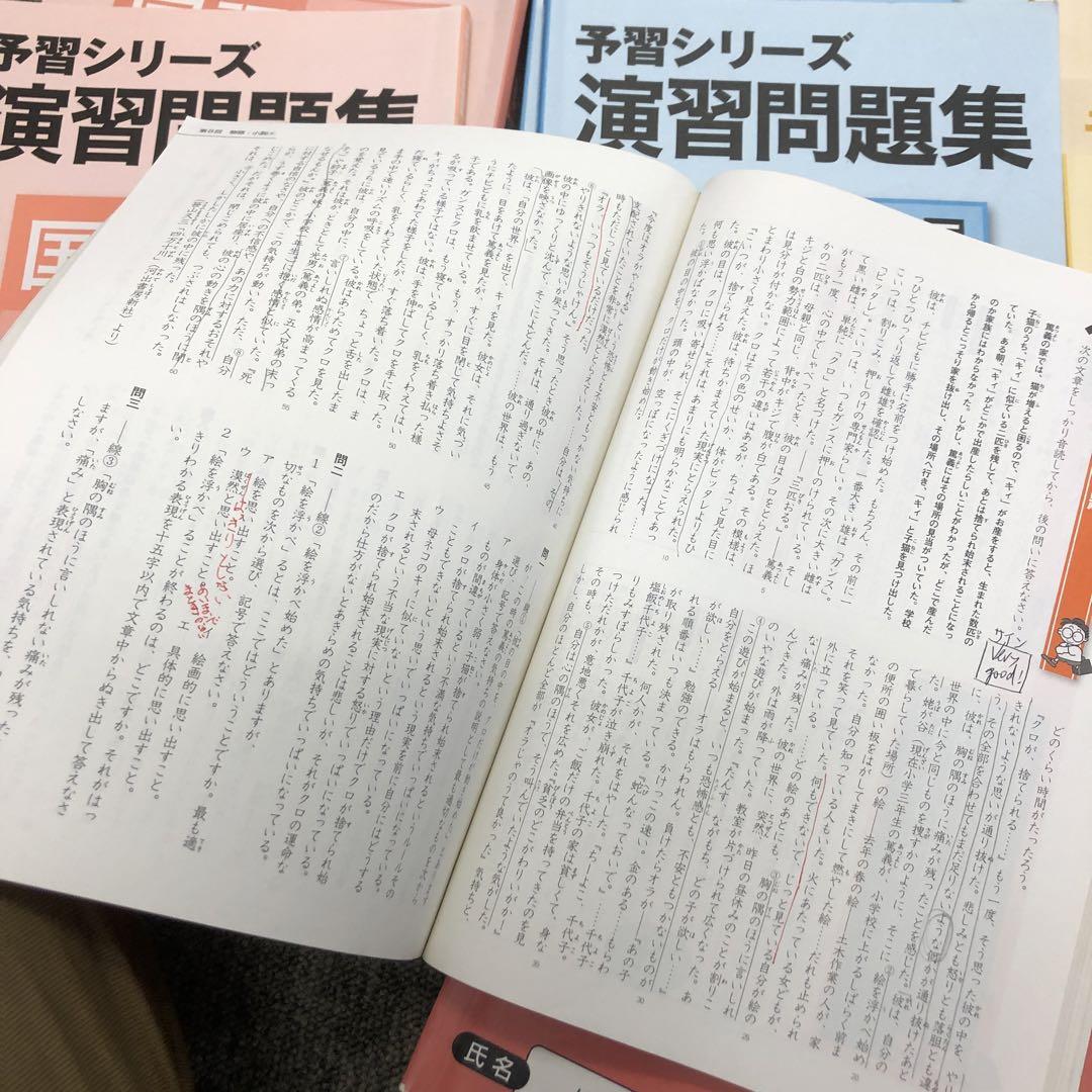 四谷大塚 5年予習シリーズ 演習問題集 漢字 上下 2020年度 中古 - 語学 四谷大塚 5年予習シリーズ 演習問題集 漢字 上下 2020年度 中古 - 語学