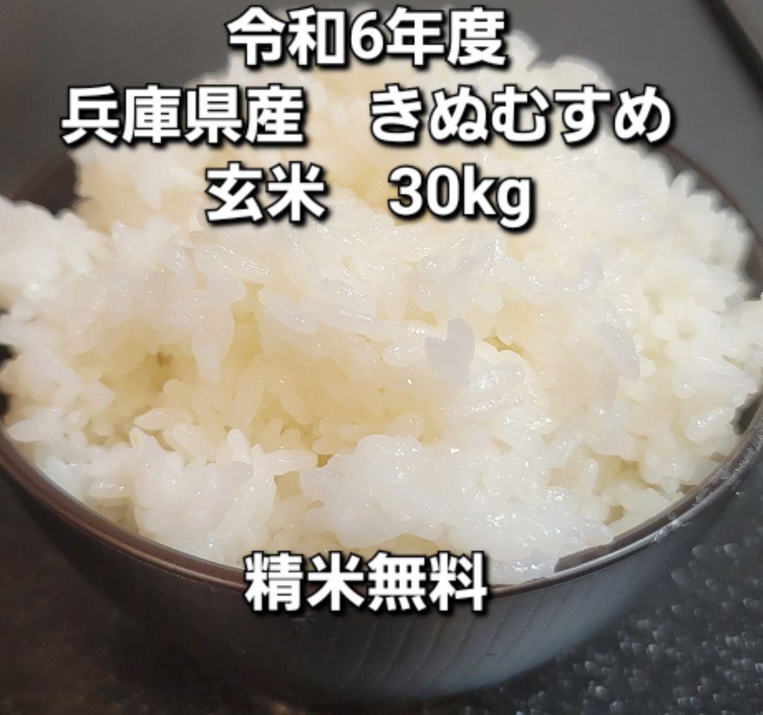 兵庫県産 きぬむすめ 玄米30kg　送料込み