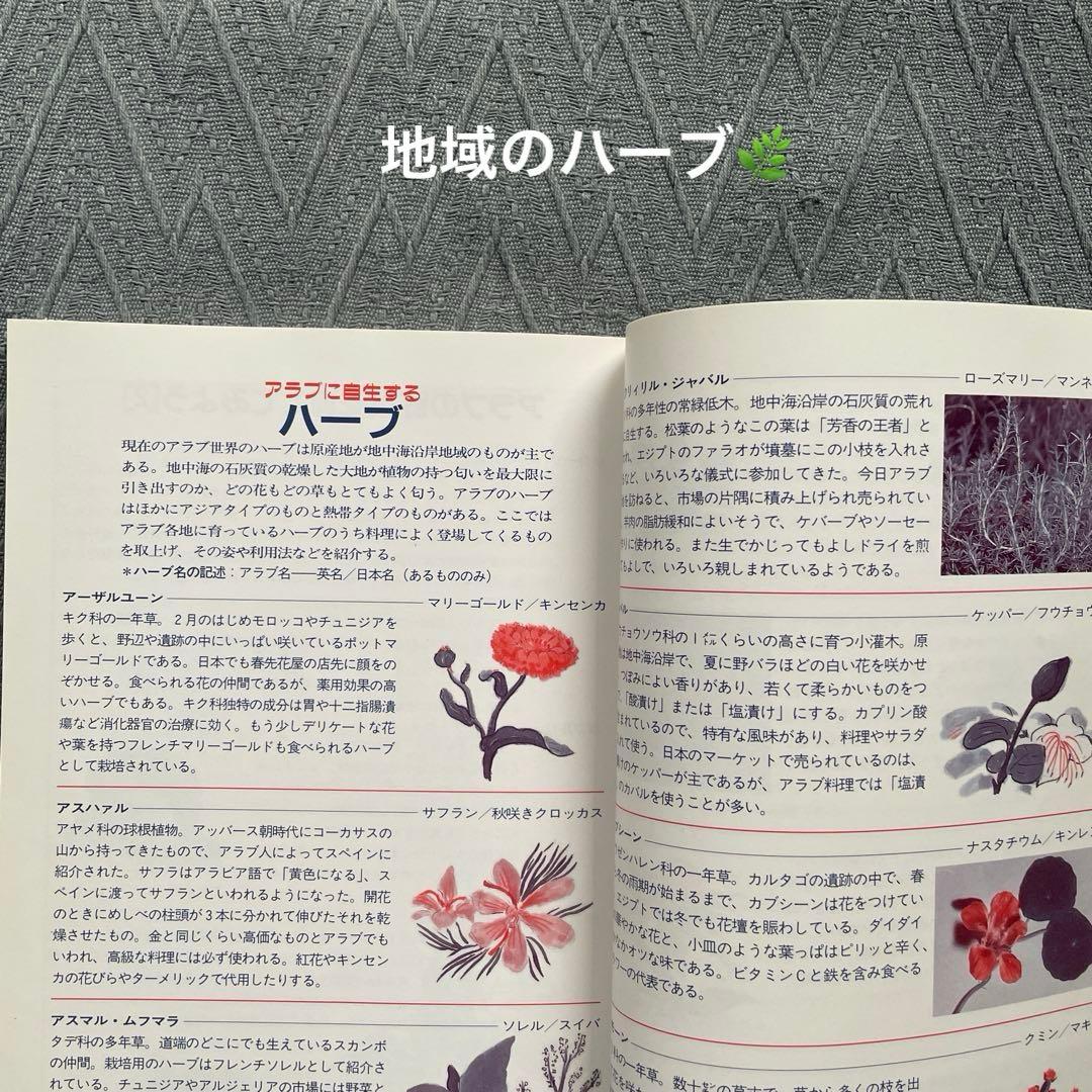 アラブのエスニック料理入門 レアなレシピ本 ジャミーラ高橋 アラブのエスニック料理入門 レアなレシピ本 ジャミーラ高橋