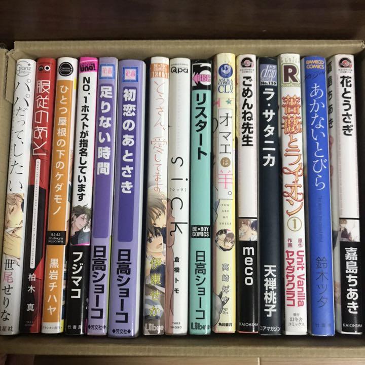 売上ランキング Bl漫画 15冊まとめ売り 純正在庫 Ixtapastanwood Com