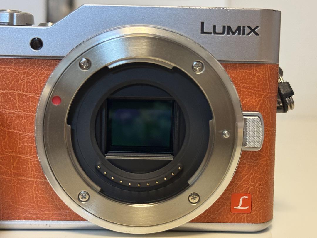 LUMIX DC-GF9W オレンジ/シルバー 4K対応 ダブルレンズキット