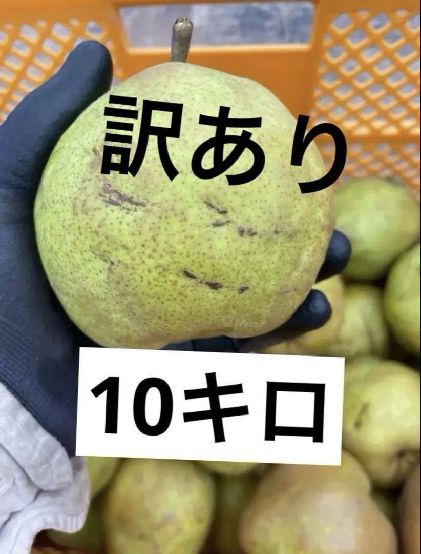 熊本県産　摘果マンゴー　グリーンマンゴー 摘果マンゴー・グリーンマンゴー 約2.6kg