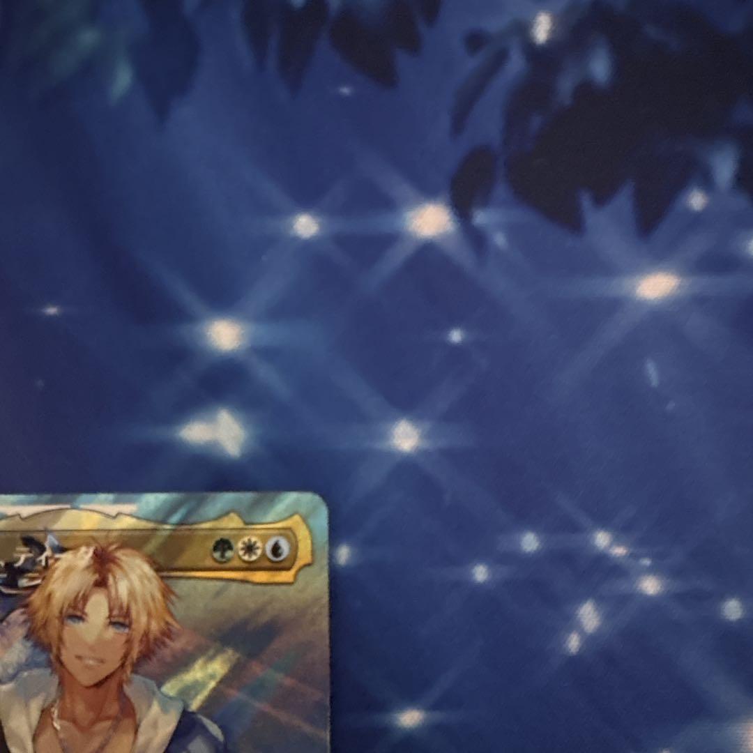 MTG FFコラボ ユウナのガード、ティーダ　ボーダレスfoil ユウナのガード、ティーダ [FIC] Foil 【BIGWEB | MTG】日本最大