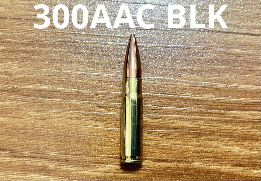 300AAC BLK ダミーカート 火薬なし