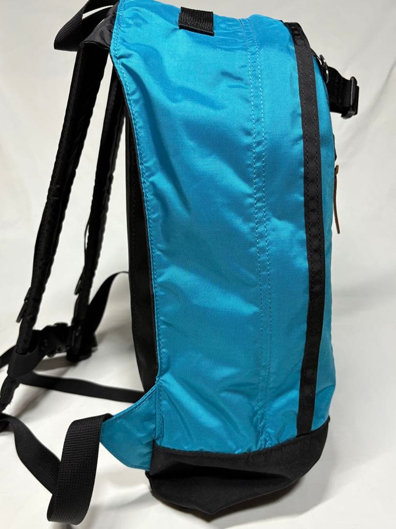 【極美品】GREGORY グレゴリー　ファインデイ　ライトブルー　16L