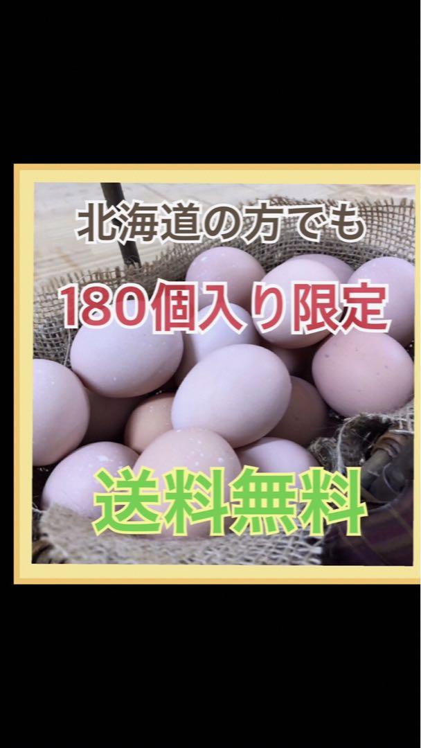 コーチン180