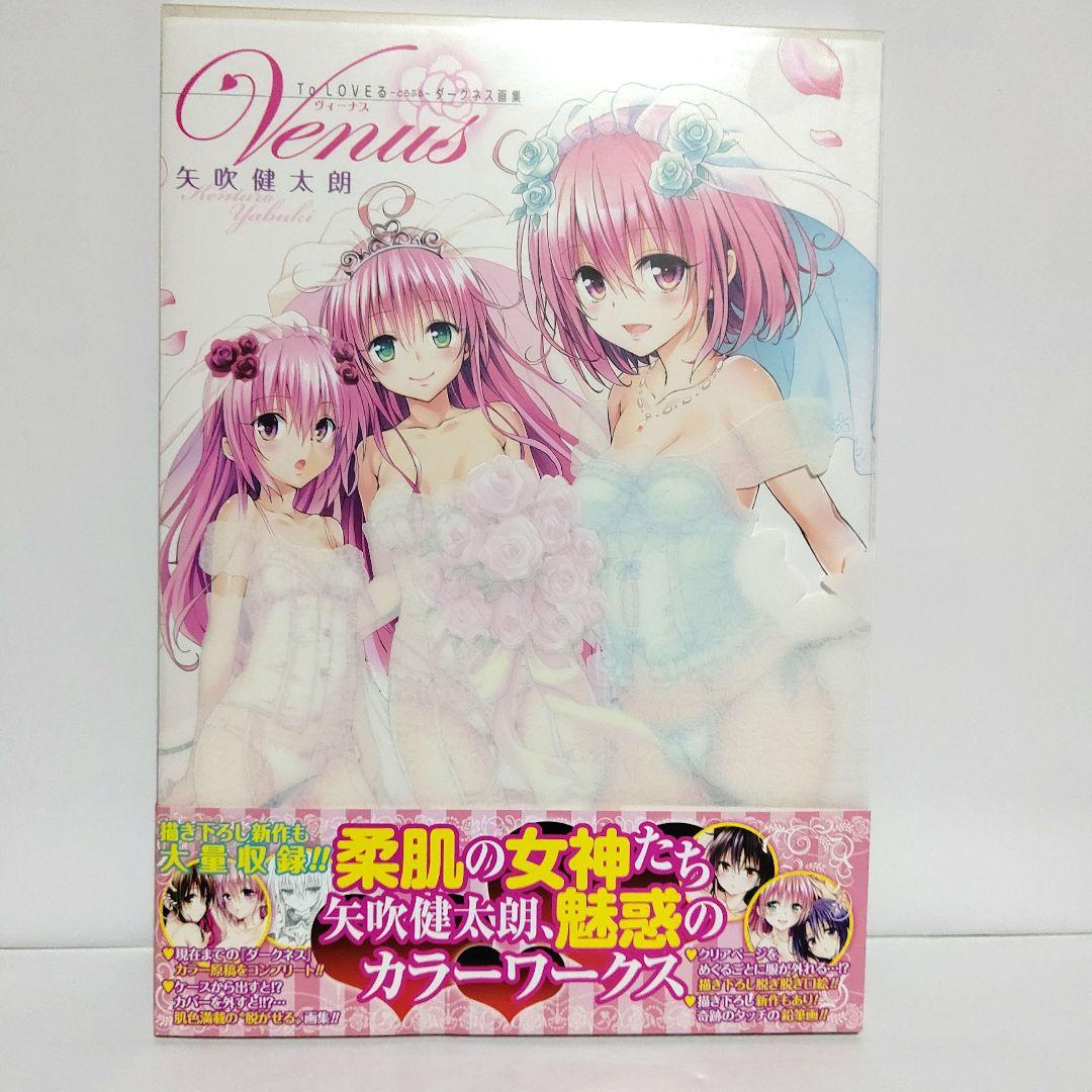 誕生日プレゼント ToLOVEる ダークネス画集 2冊セット アート・デザイン・音楽