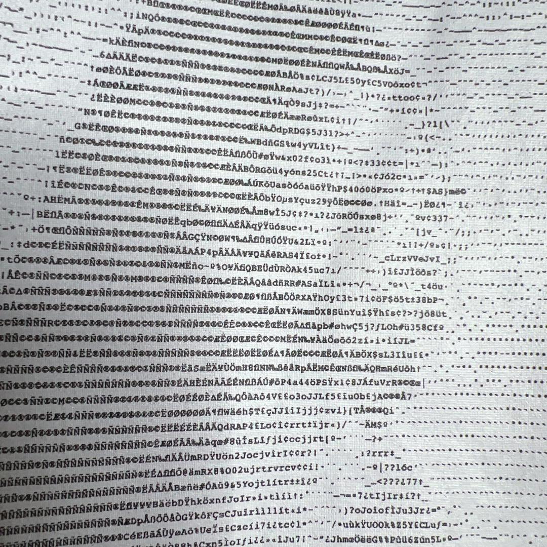 【入手困難!!】シュプリーム ✈︎カナダ製 バックプリント トレーナー 肉厚