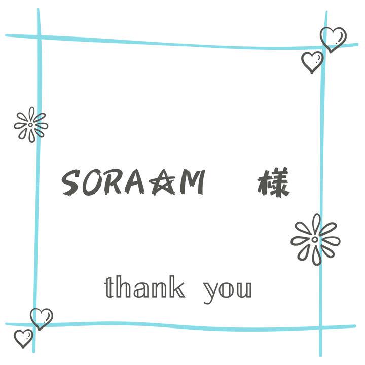 SORA☆M様♡ご希望品です♪ .*