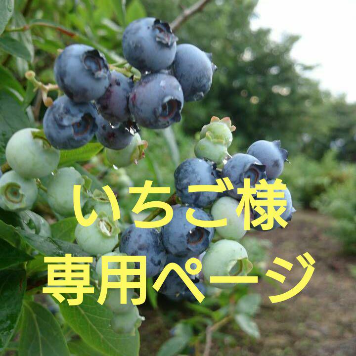 いちご様★専用ページ