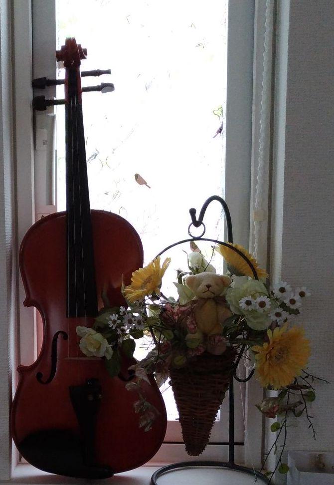 弦楽器 Violin