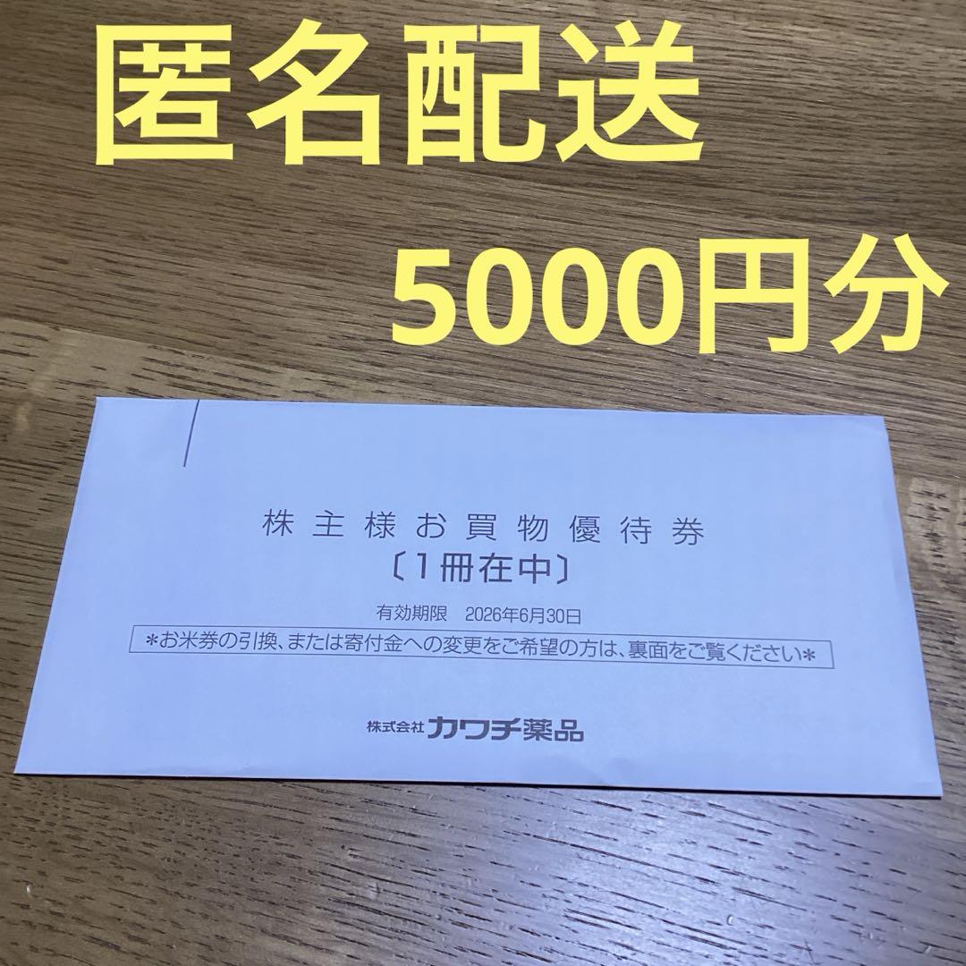 カワチ薬品　お買物優待券　500円券10枚綴り