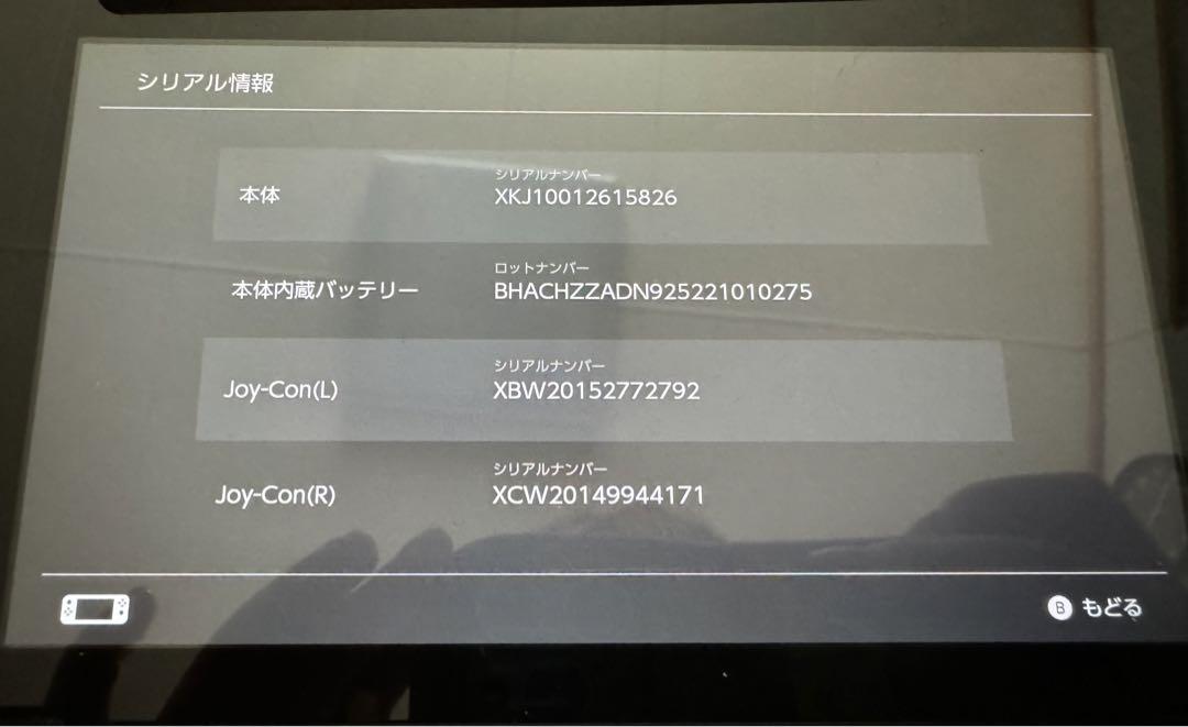 Nintendo Switch ケース付き