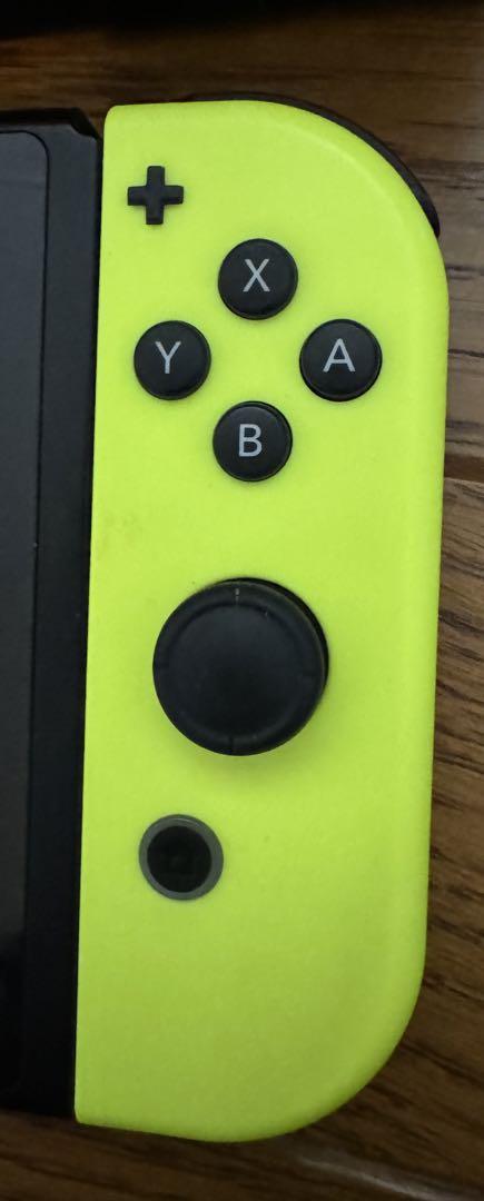 Nintendo Switch ケース付き
