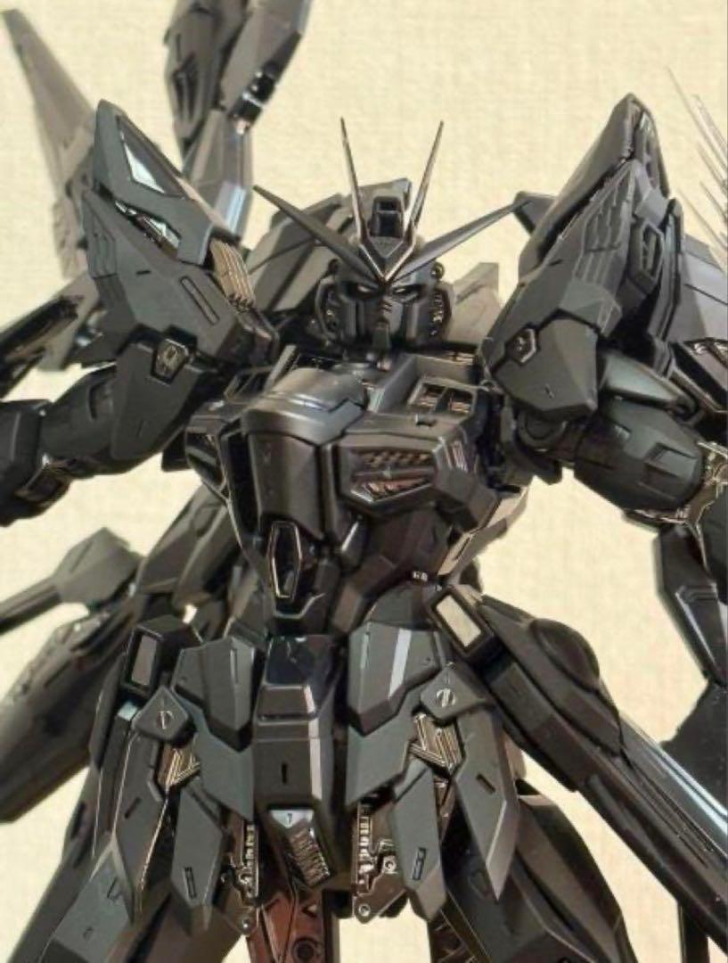 海外限定MGEXサイズ1/100ストライクフリダムガンダム　ミドナイト