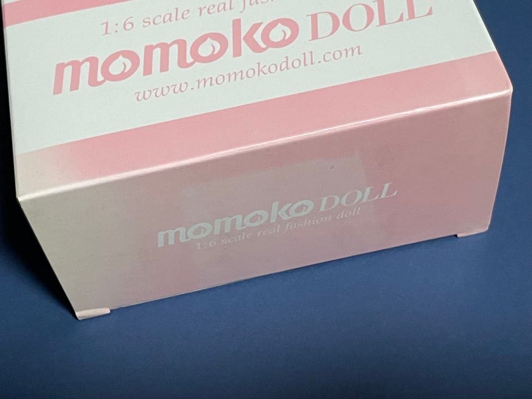 未開封 外箱難ありセキグチ[おもちゃ]