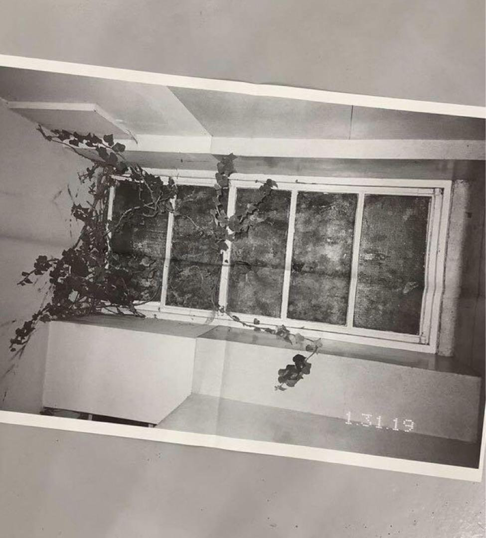 絶版‼️ ARI MARCOPOULOS 写真集 - メルカリ