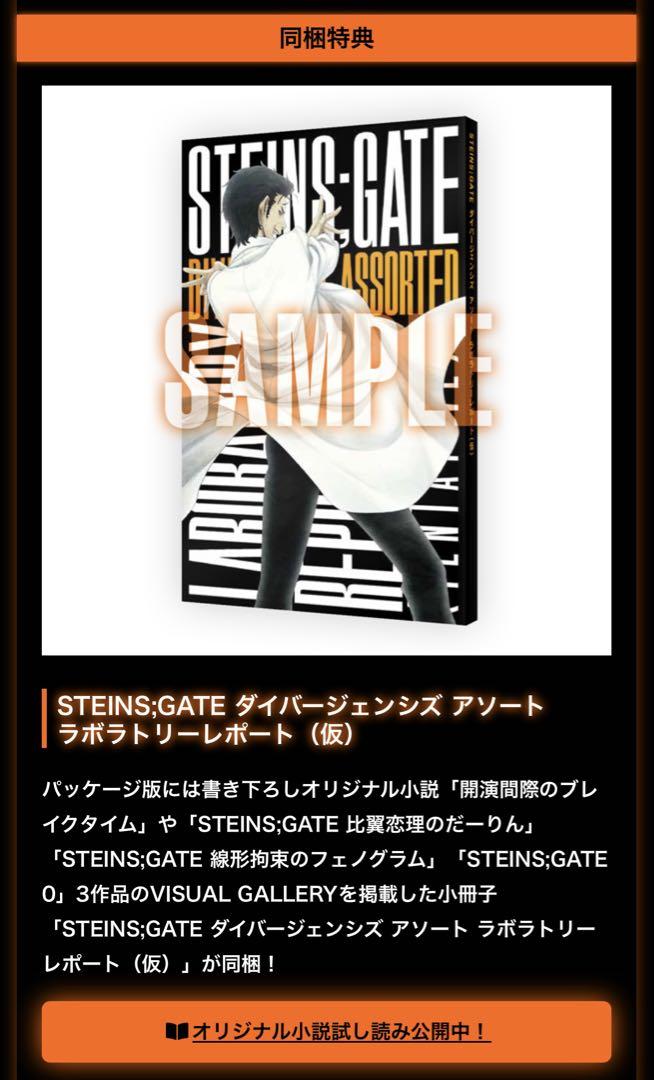 新品未開封品　シュタインズゲート ダイバージェンシズ アソート Switch