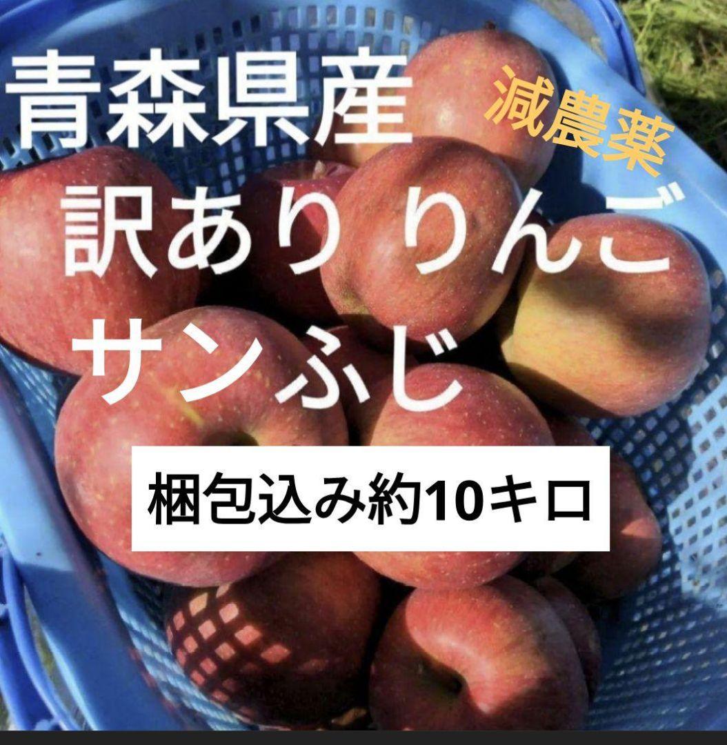訳あり 青森県産 サンふじ りんご 約10kg 順次発送予定 : JAてん