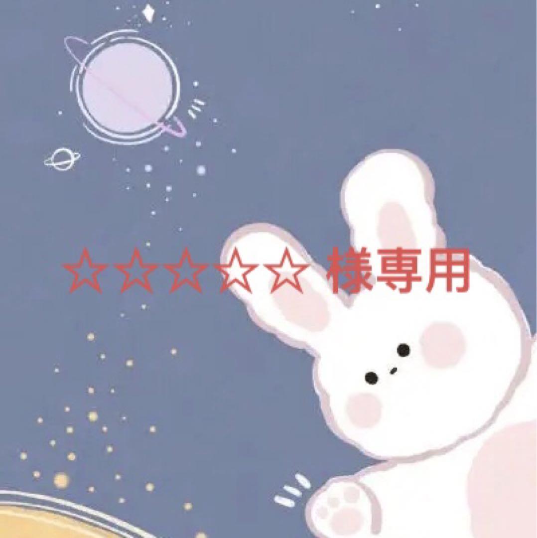 ☆☆☆☆☆ 様専用