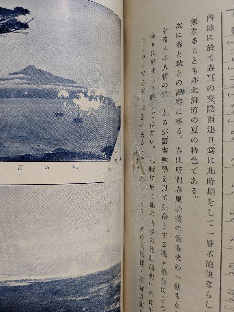 東北帝国大学農科大学 明治43年 富貴堂書房 本
