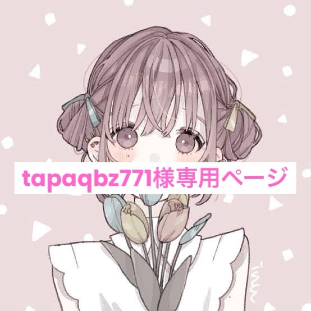 tapaqbz771ページ