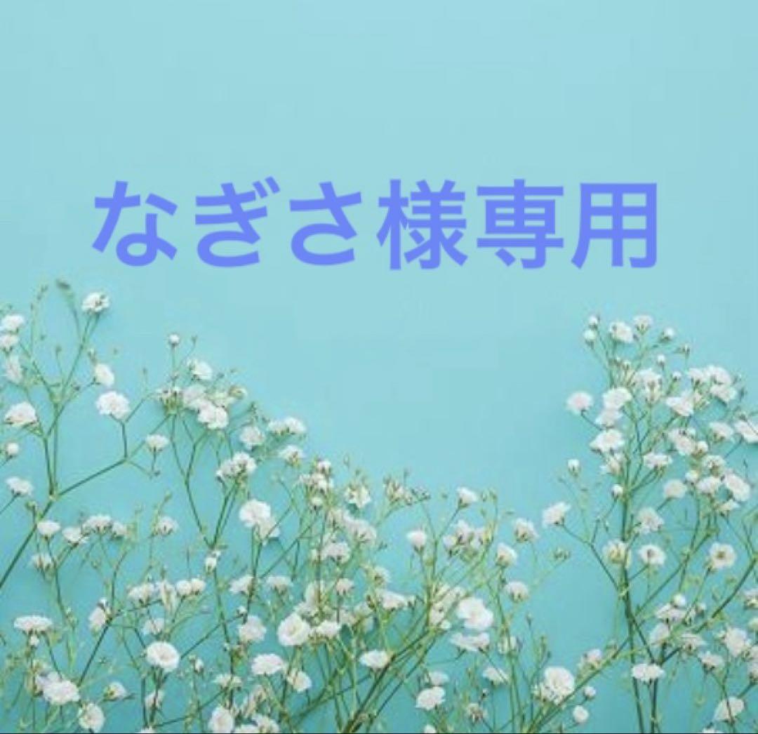 なぎさ様専用