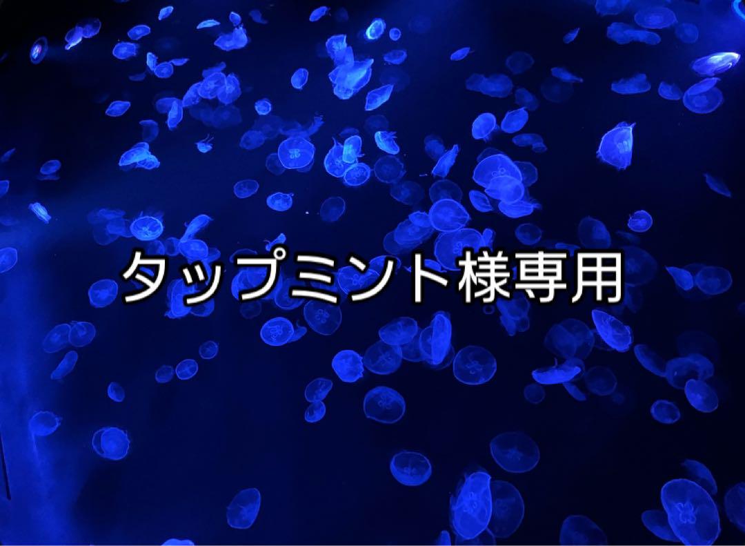 タップミント様リクエストフエヤッコダイ３匹（3枚セット）