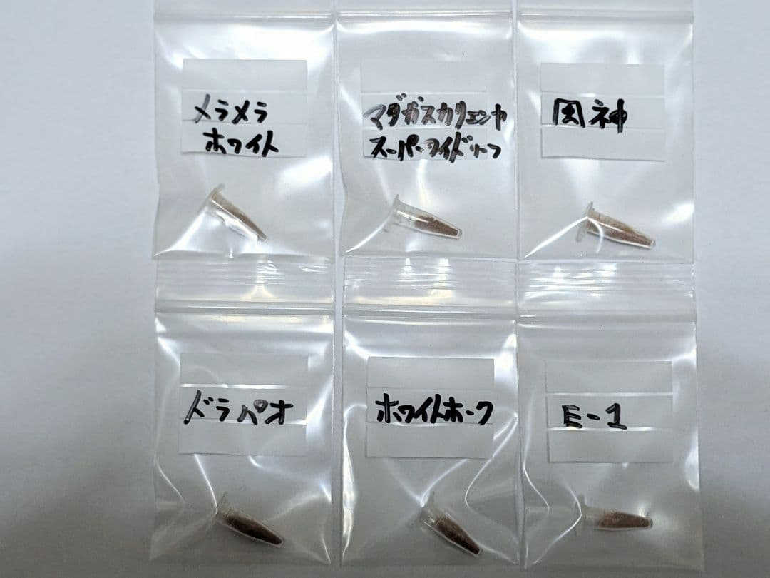 【ラスト】ビカクシダ　胞子　6種セット 1,692円