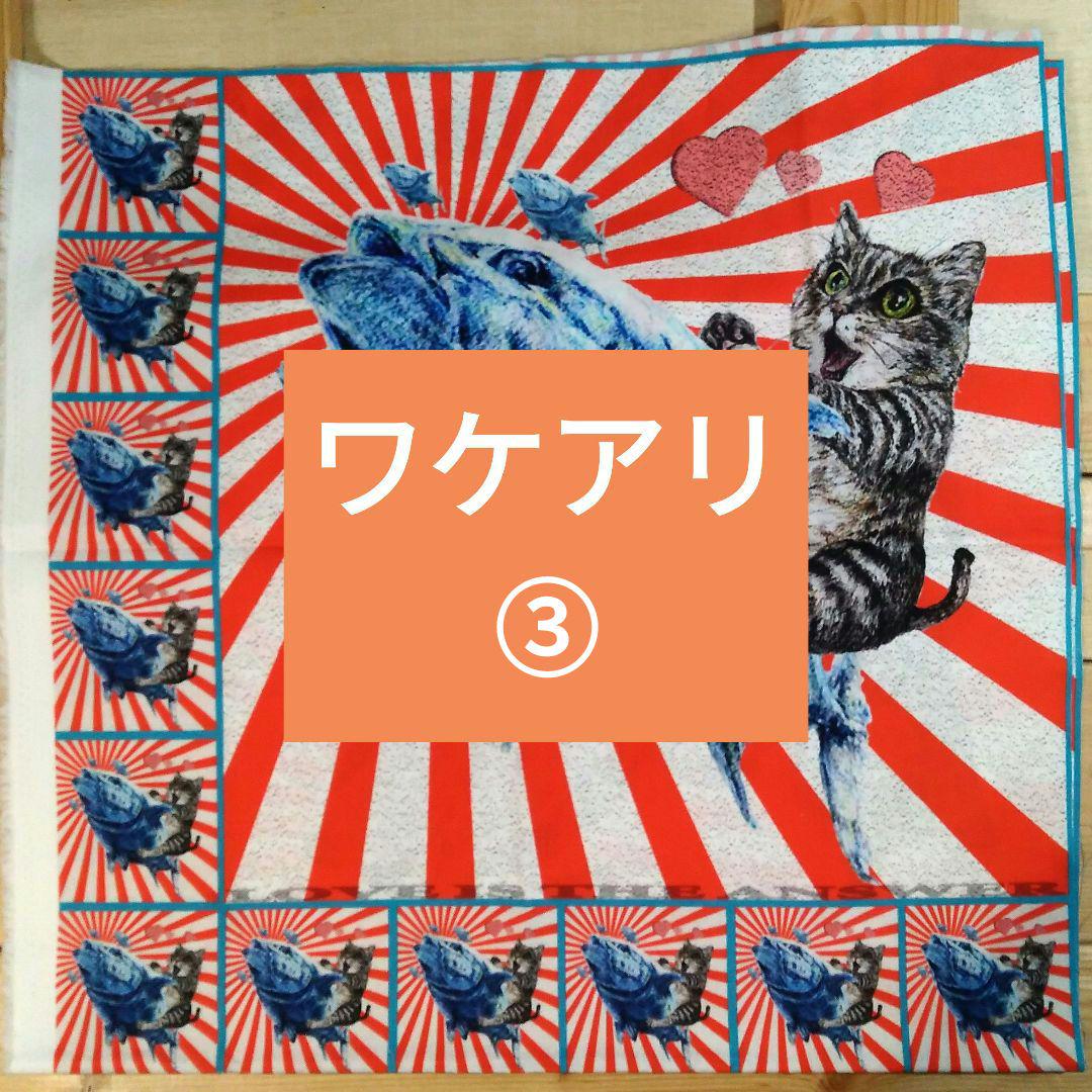 ワケアリ③