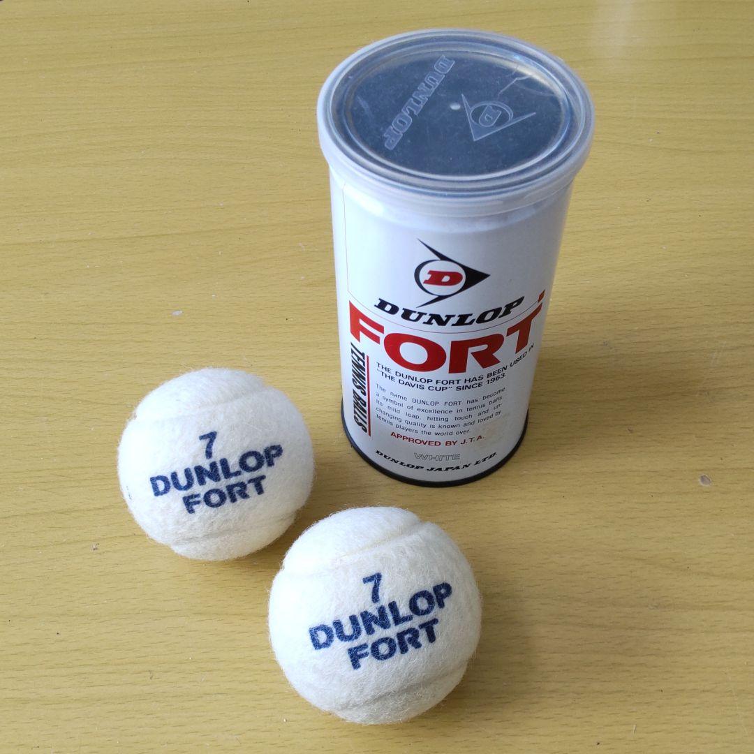 ダンロップ テニスボール 白(WHITE)