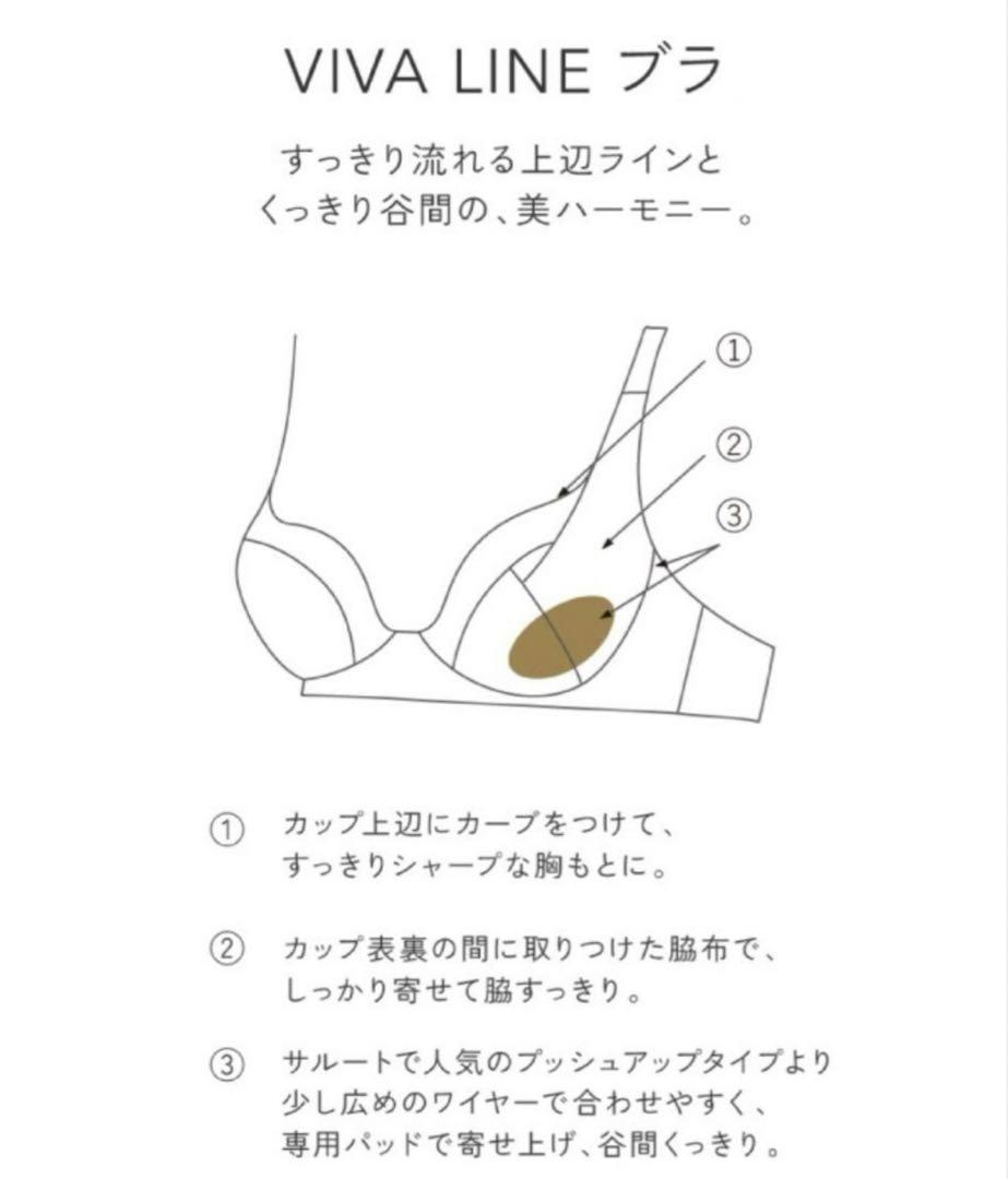 【新品タグ付き】サルート 75G　ブラジャー・ソング