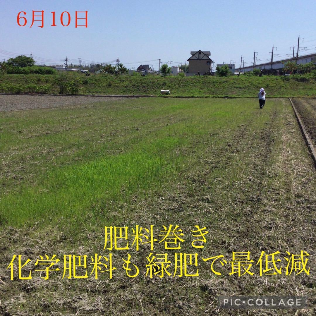 40 新米　岡山県産　農薬不使用　ヒノヒカリ　玄米10㎏