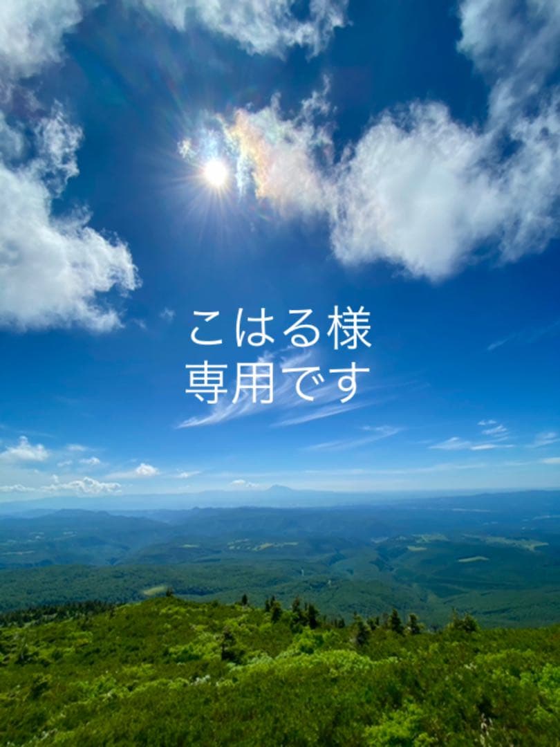 適切な価格 リクライニングチェアー 革 パーソナルチェア ハイバック