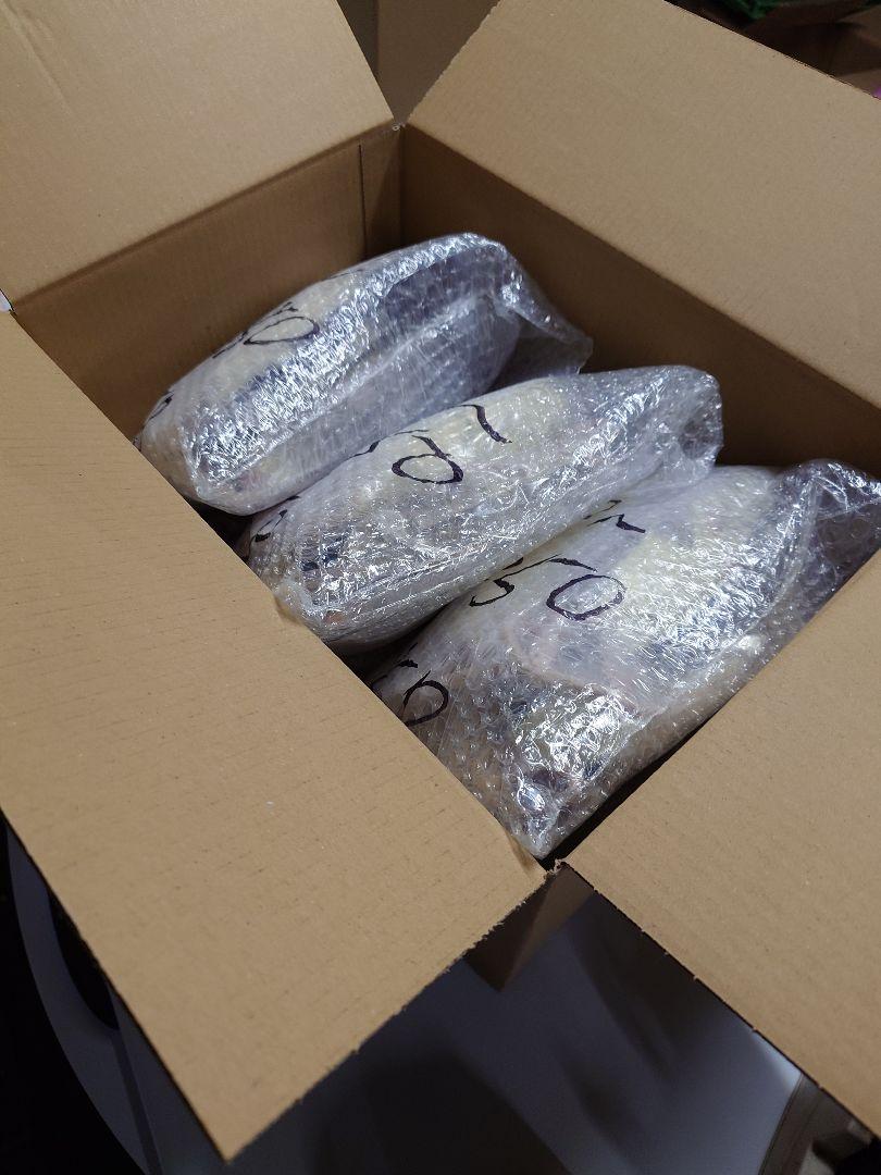 個包装 冷凍ラット 200匹セット 100~130g