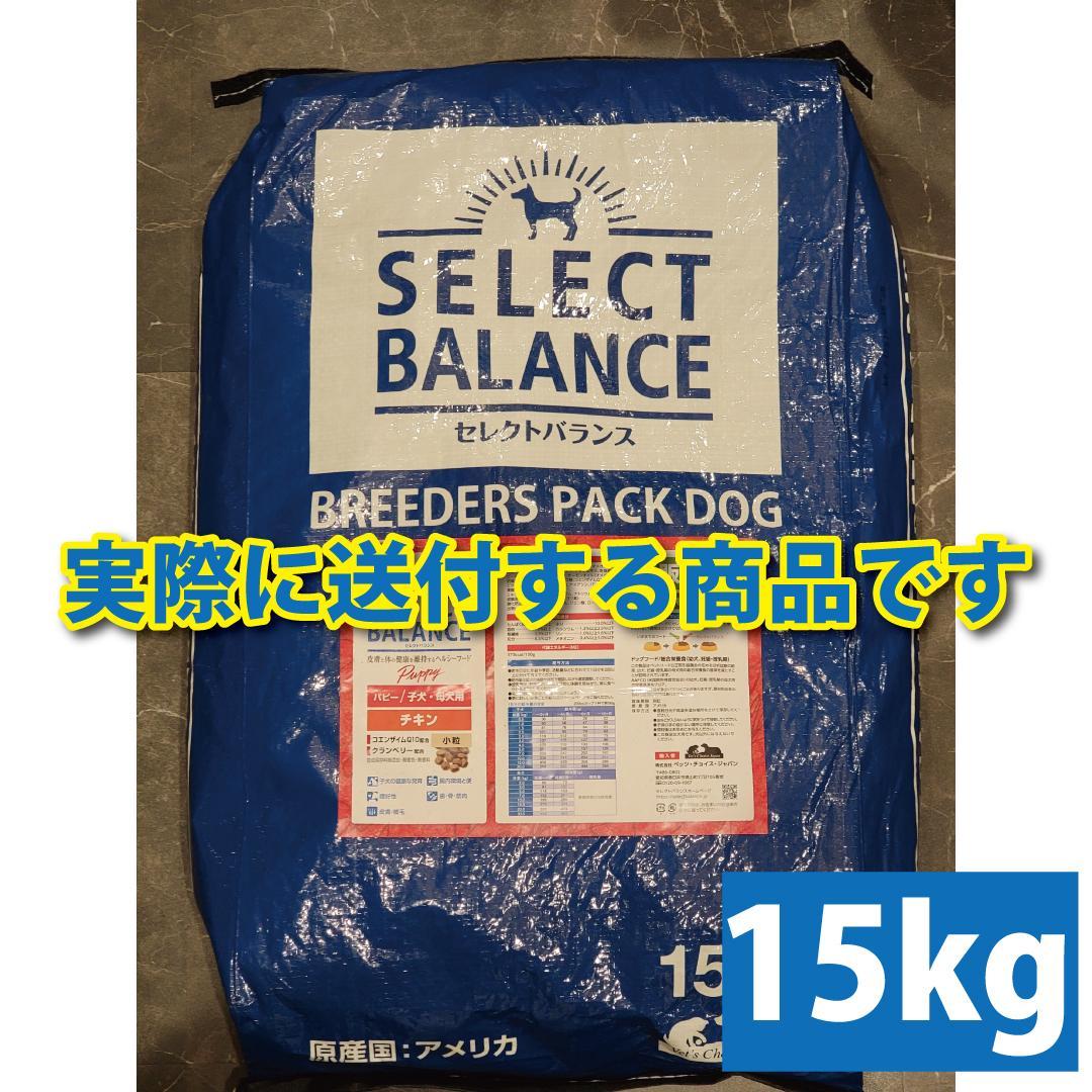 小粒 子犬母犬用