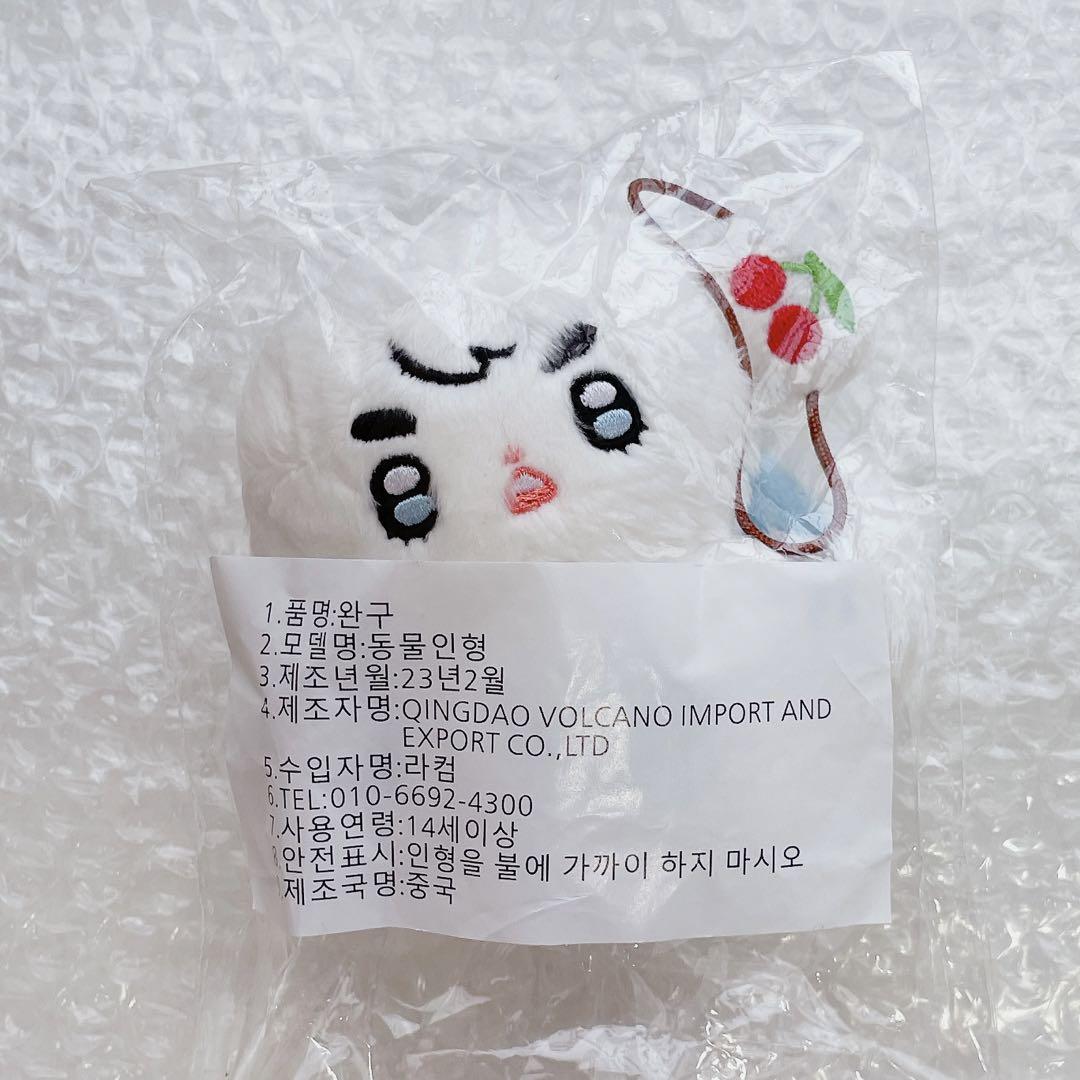 エスクプス　ぬいぐるみ　10cm 人形　seventeen マスター　　롭따뚜