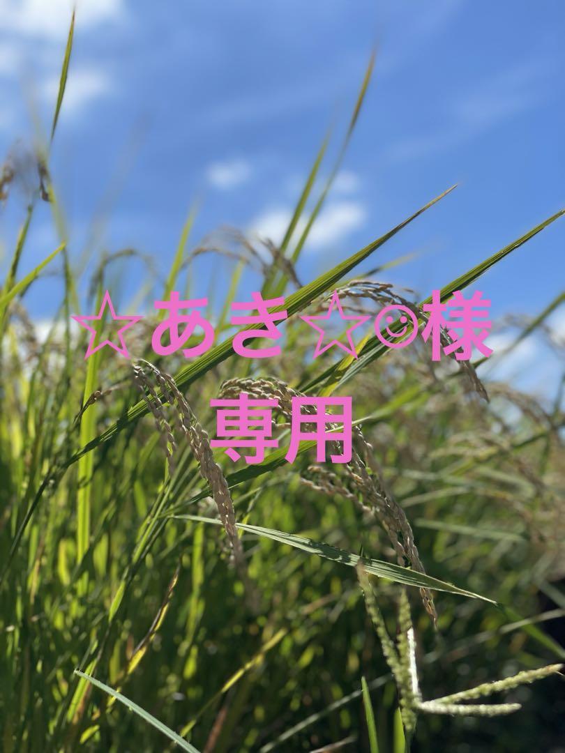 ⚠️ ☆あき☆☺︎様専用⚠️茨城県産 2024年米 コシヒカリ　玄米/20キロ