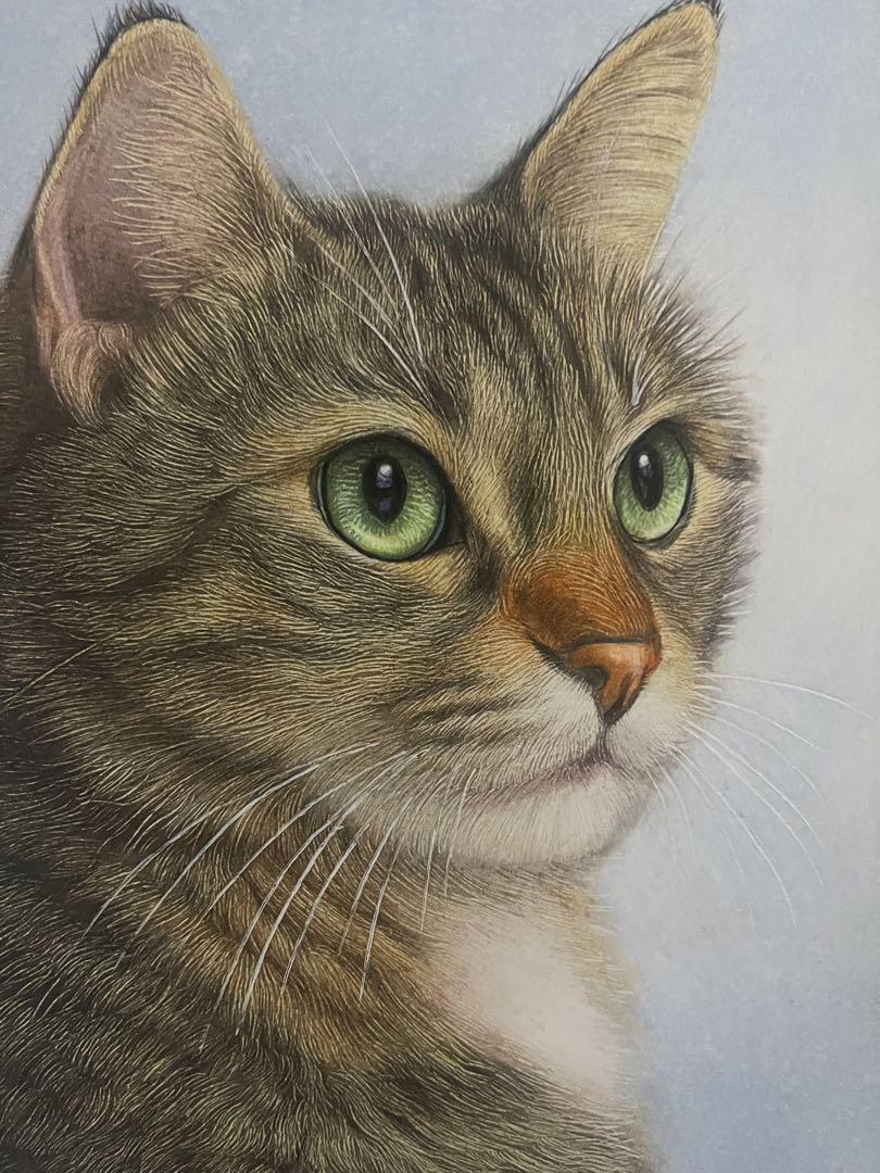 色鉛筆画 A4キジトラ.67 キジトラ猫色鉛筆画｜Yahoo!フリマ（旧PayPayフリマ）