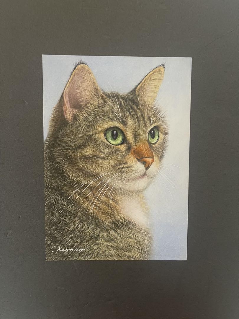 色鉛筆画A4 キジトラ69 色鉛筆画A4 キジトラ69 絵画