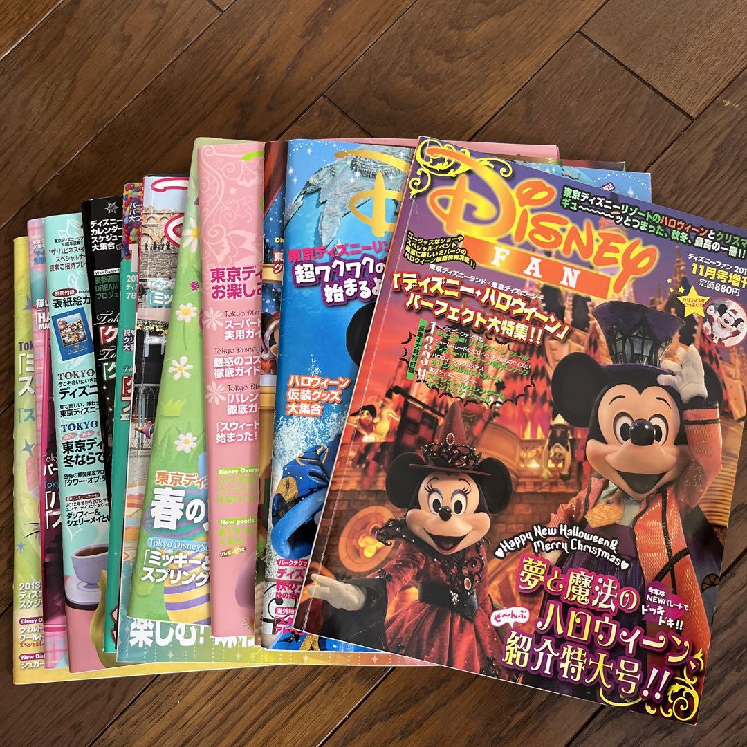 ディズニーファン 2013年分 12冊 ディズニー ファン 2010年 2012年 2013年 おまとめ品 過去 雑誌
