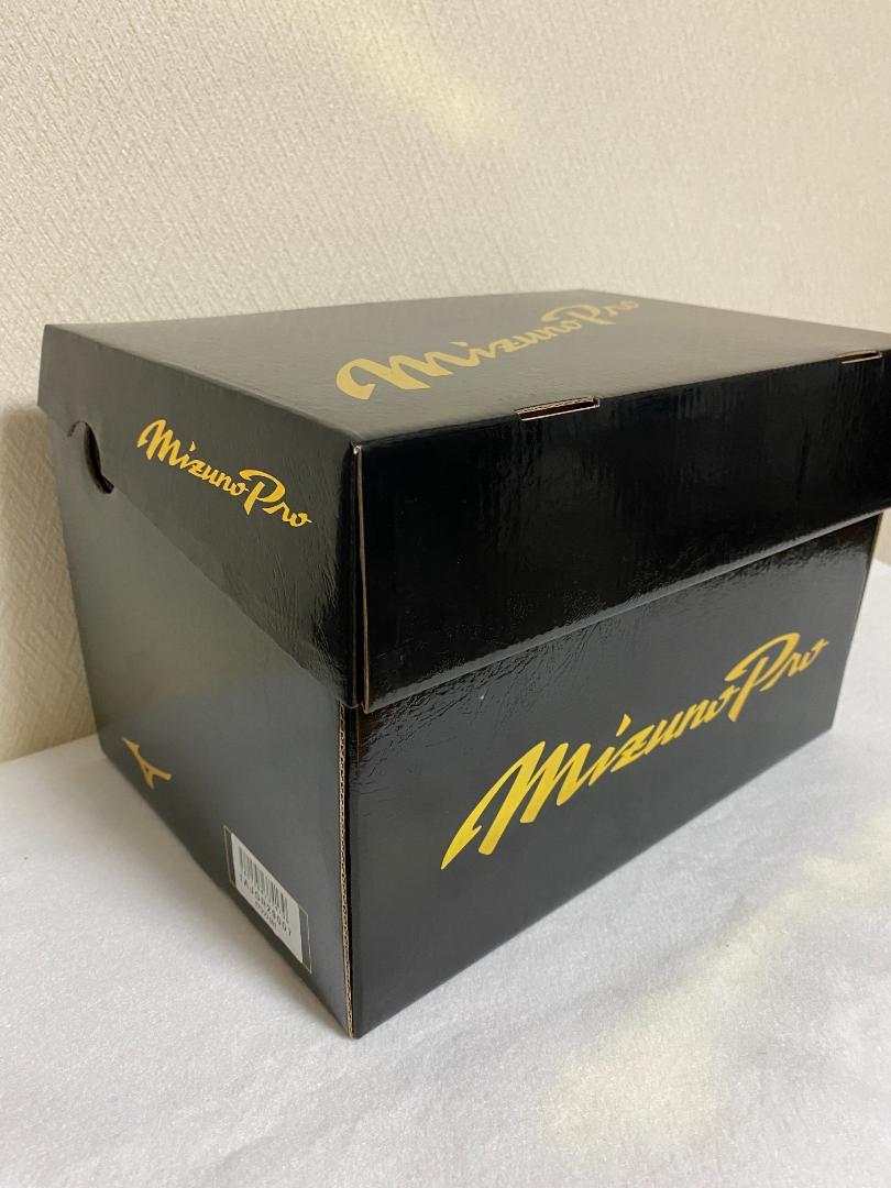 ミズノプロ　グローブ　A51イチロー監修モデル　1AJGR29007　軟式