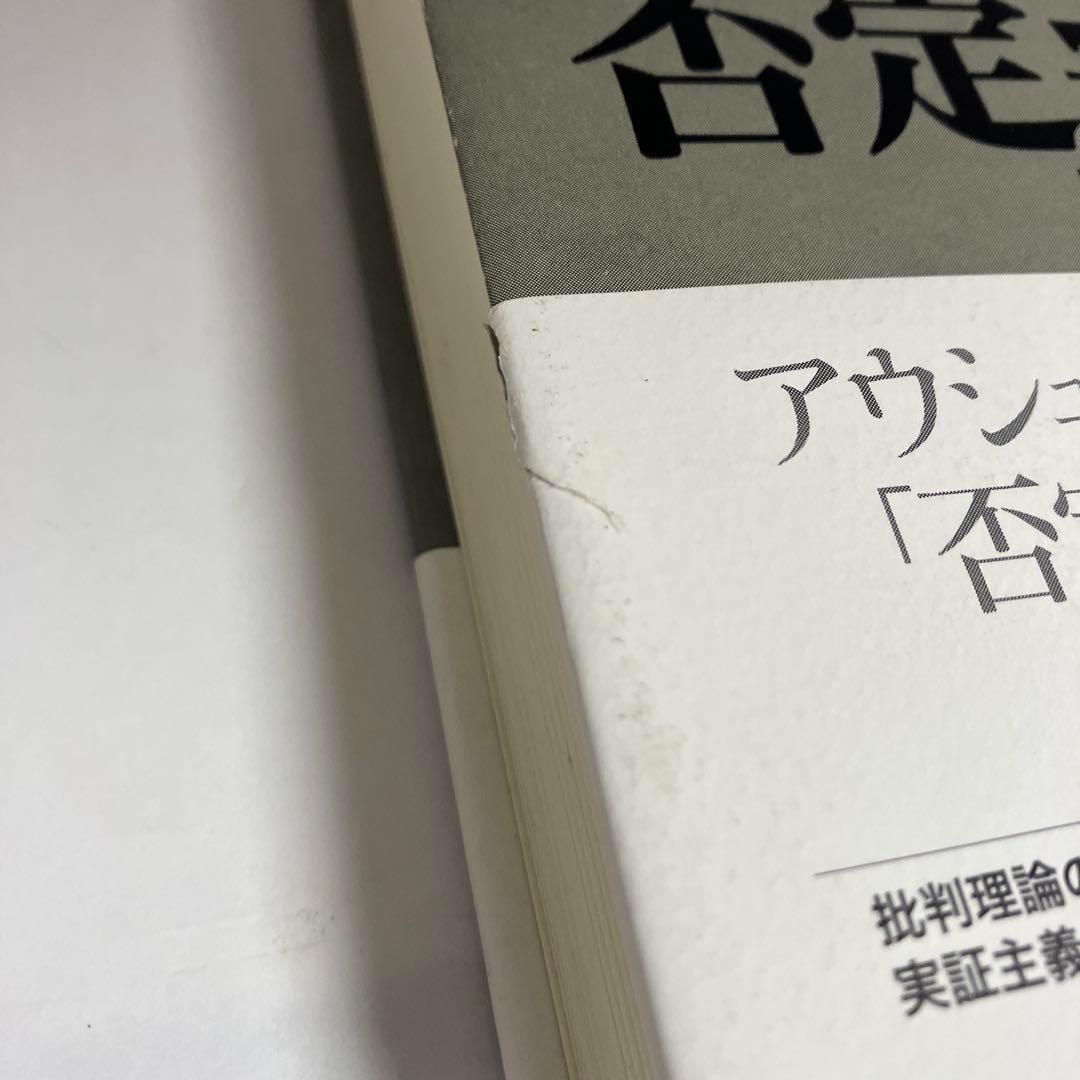 アドルノ 否定弁証法 講義