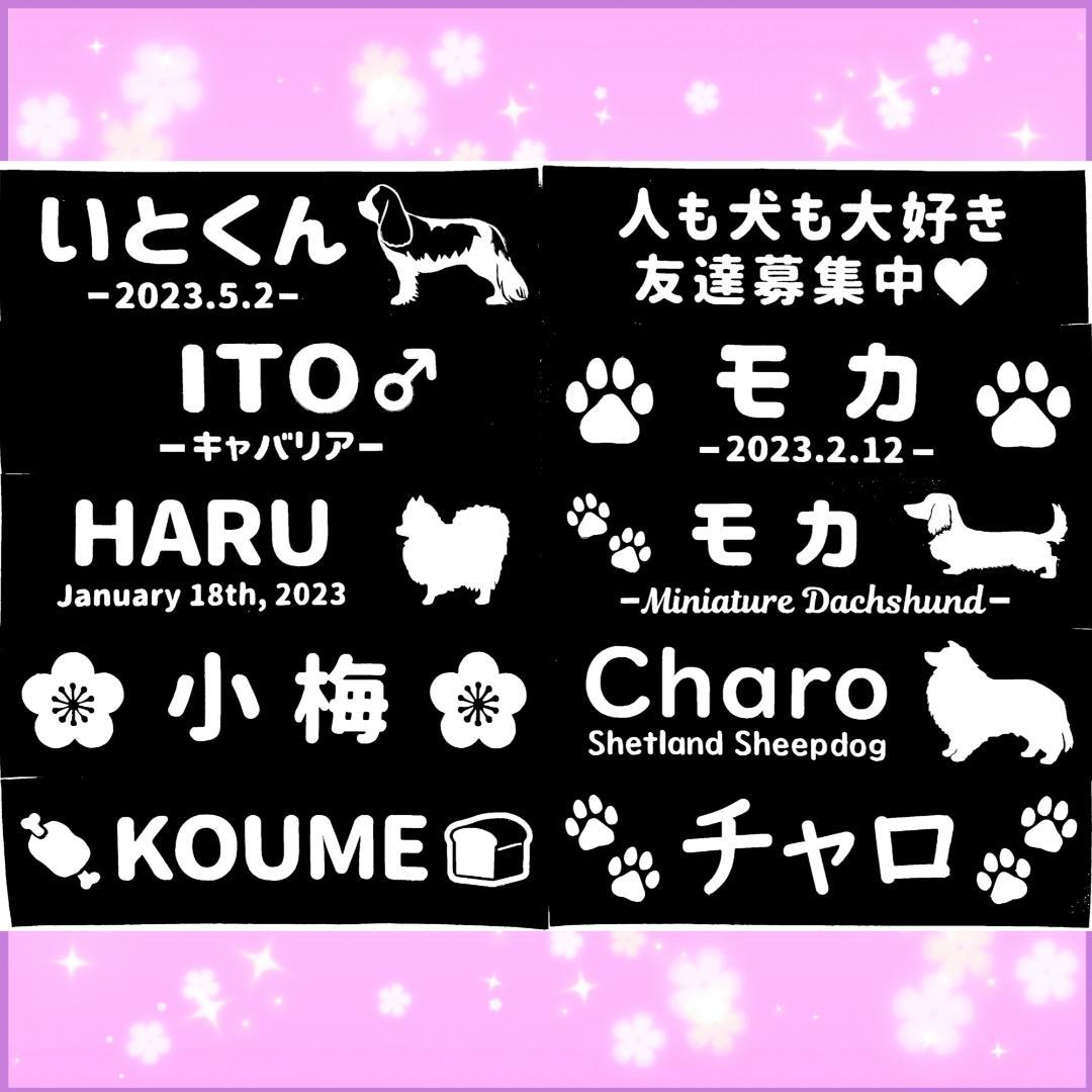 33.【はなまま/ママ】ユリウスk9ハーネスにも対応♪ネームラベル タグ
