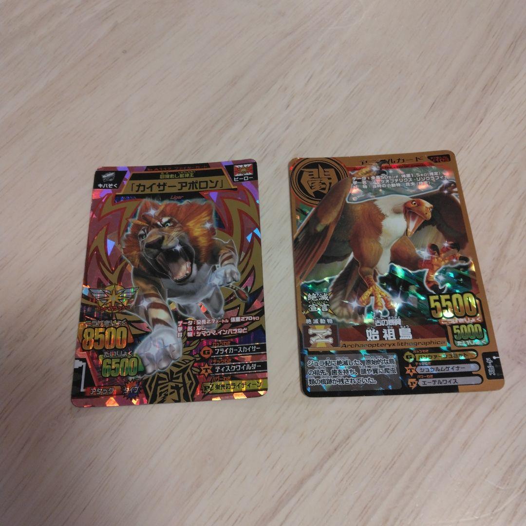 アニマルカイザーカード確認用です