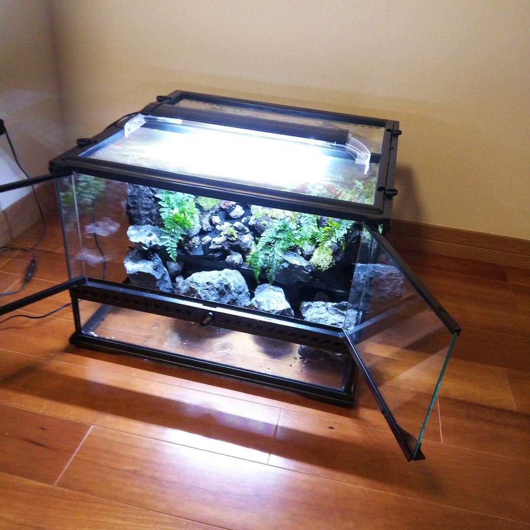 【受注生産】滝のあるアクアテラリウム グラステラリウム 4530イモリウム