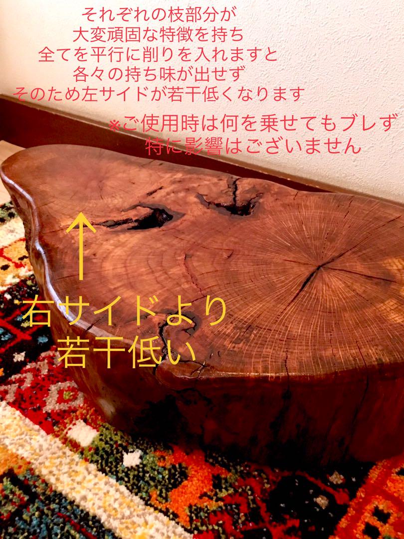天然櫟くぬぎ【超絶ワイルドな森と大自然の切り株テーブル】テーブル＊ちゃぶ台＊座卓