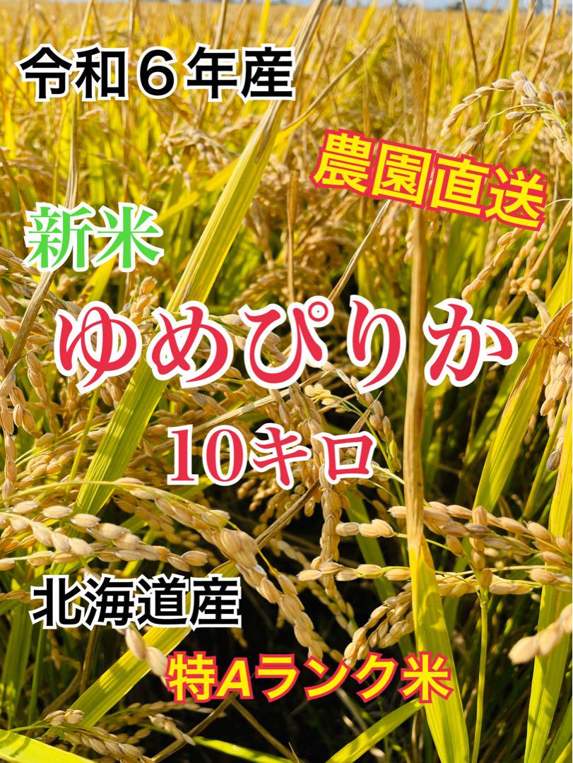 令和6年産 北海道米新米ゆめぴりか 20キロ特Aランクブランド米39