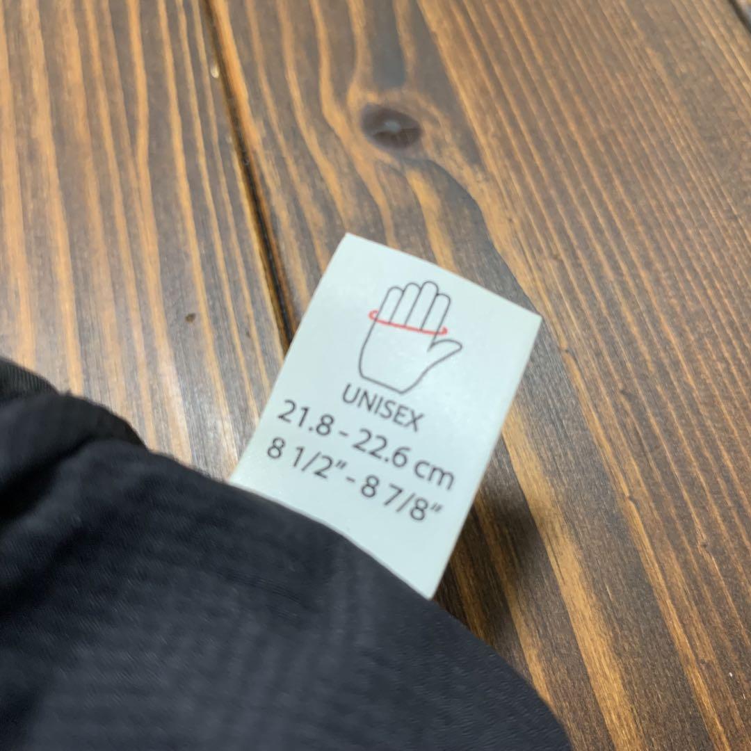 Arc’teryx FISSION SV MITTEN GORE-TEXグローブ